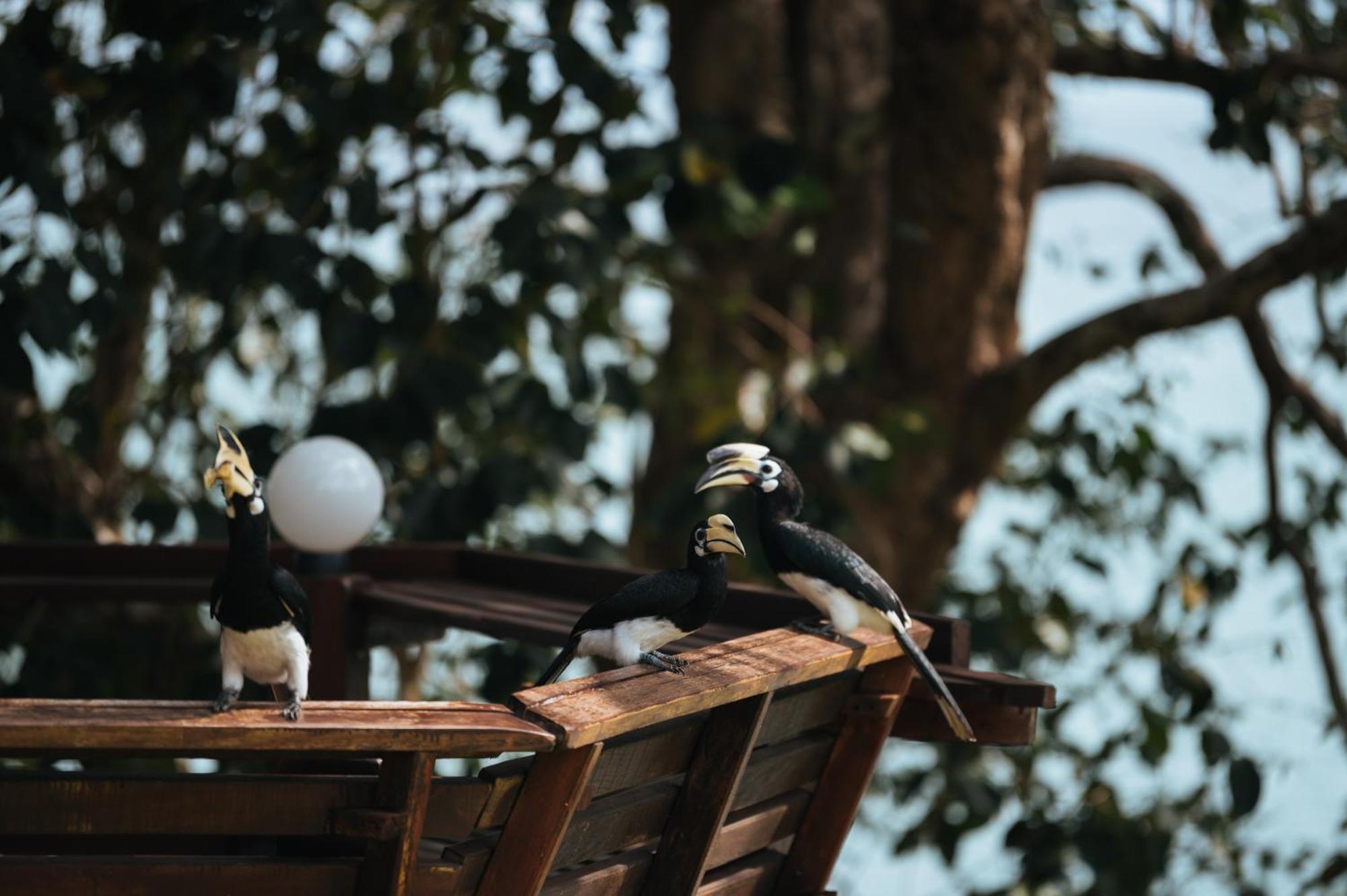 Phayamas Private Beach Resort And Island Brew - Adults Only Koh Phayam Exterior photo